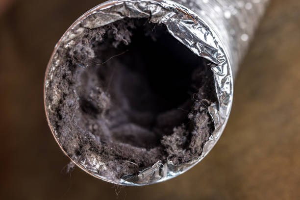Best Local Air Duct Cleaning Services  in Washington, IL